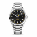 Omega Seamaster Aqua Terra Co-Axial Master Chronometer 231.10.42.21.01.002 Authentic Clone 1:1