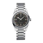 Omega Seamaster Railmaster Steel 220.10.38.20.01.002 Masterpiece Replica