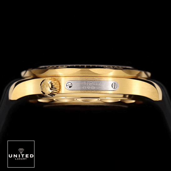 Omega Seamaster Gold Case 1/257 Replica side view black background